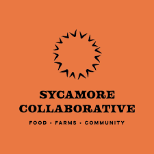Sycamore Collaborative