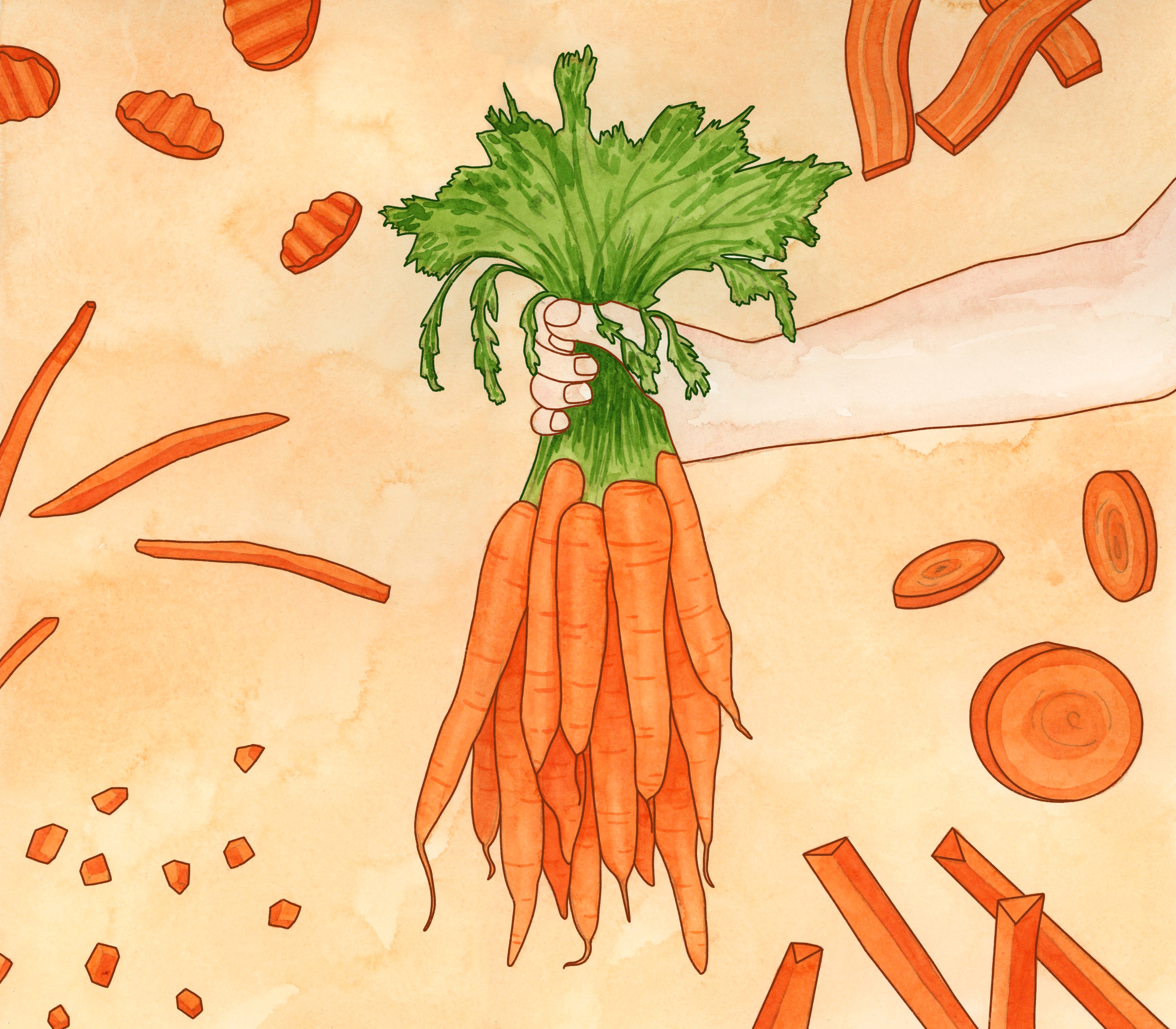 Carrots