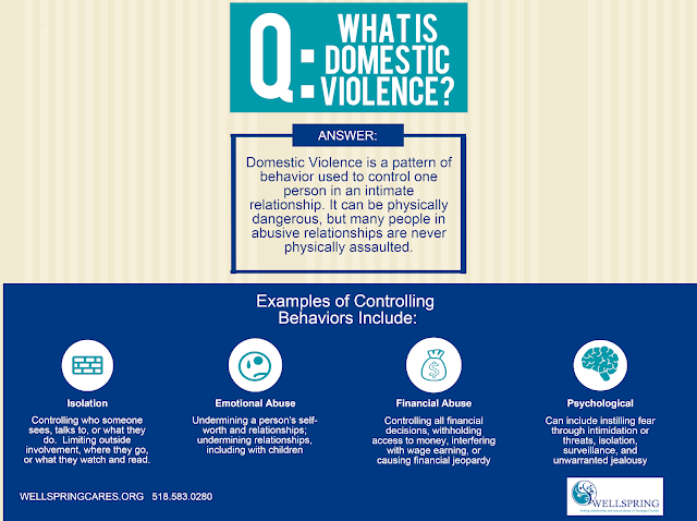What is Domestic Violence Graphic