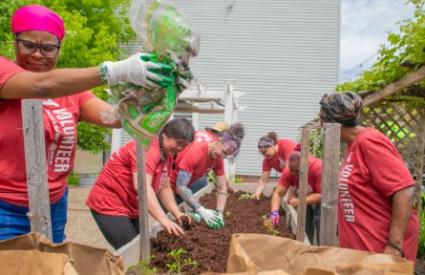 Women working to build a flower bed together