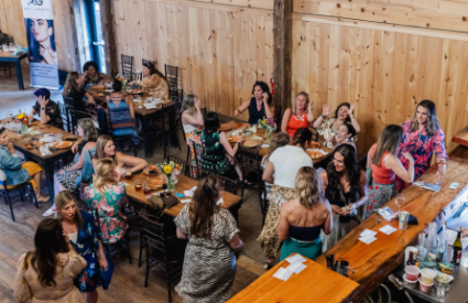 Ariel shot of women networking 