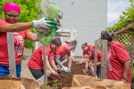 Women working to build a flower bed together