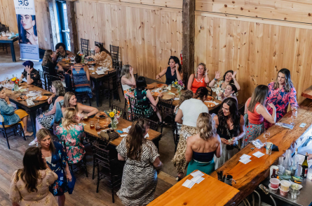 Ariel shot of women networking 