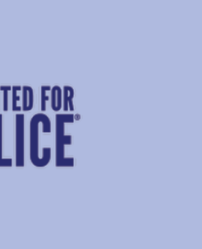 United for ALICE logo on light blue background